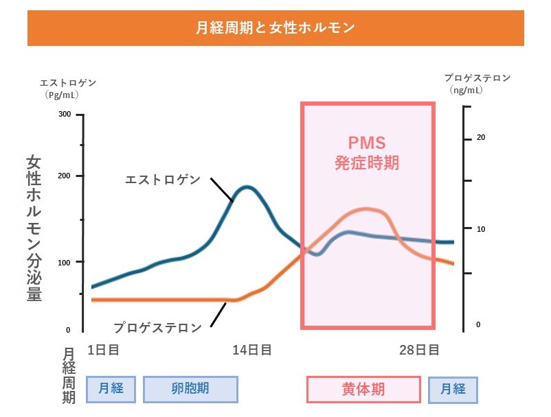 ▲図2 月経周期と女性ホルモン